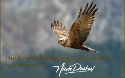 Die freie Schwingung in sich selbst