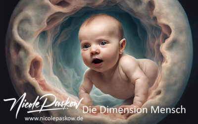 Advent 14 – Die Dimension Mensch