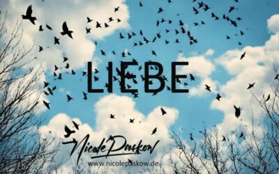 Advent 17- Liebe