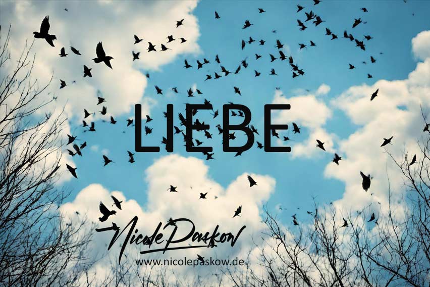 Advent 17- Liebe