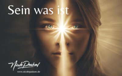 Sein was ist