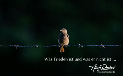 Was Frieden ist und was er nicht ist