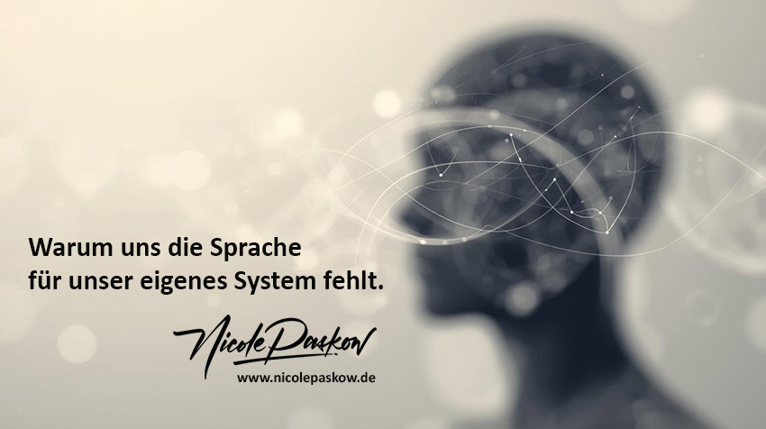 Warum-uns-die-Sprache-für-unser-eigenes-System-fehlt