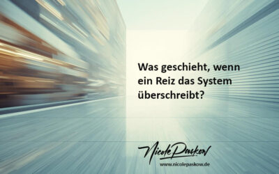 Was geschieht wenn ein Reiz das System überschreibt