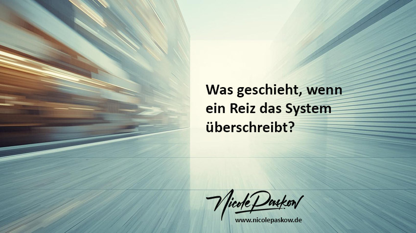Was geschieht wenn ein Reiz das System überschreibt