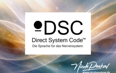 Direct System Code™: Ein praktischer Zugang zu innerer Neuordnung